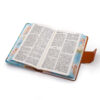 LA SAGRADA BIBLIA DE AMERICA M1 CANTO ANGELES