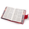 LA SAGRADA BIBLIA DE AMERICA M4 CANTO SAN MIGUEL 05 LA SAGRADA BIBLIA DE AMERICA M4 CANTO SAN MIGUEL