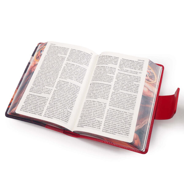 LA SAGRADA BIBLIA DE AMERICA M4 CANTO SAN MIGUEL 05 LA SAGRADA BIBLIA DE AMERICA M4 CANTO SAN MIGUEL