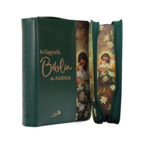 SAGRADA BIBLIA AMERICA COLECCION ESTUCHE 03 SAGRADA BIBLIA AMERICA COLECCION ESTUCHE